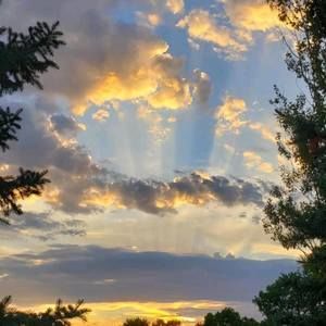 Meet your Posher, Steph